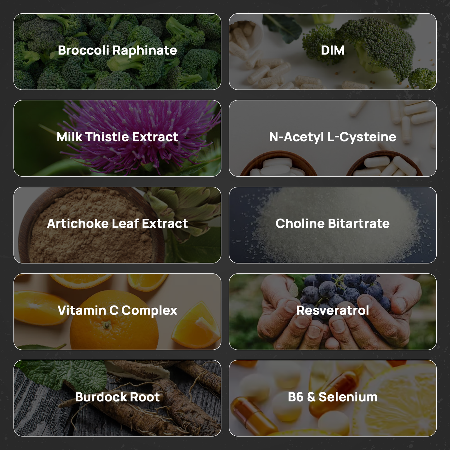 Estro Guard+ 6 month supply