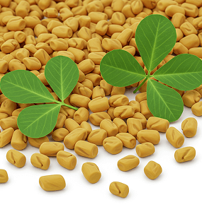 Multi-Zone Muscle Activation